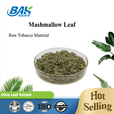 Материал 3-5mm сырцового табака лист 100% естественный Mashmallow
