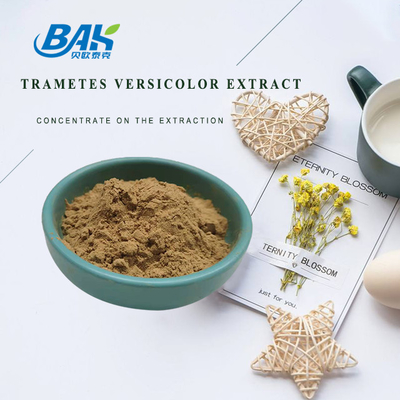 Выдержка 10% до 50% Trametes дополнения выдержки гриба качества еды Versicolor