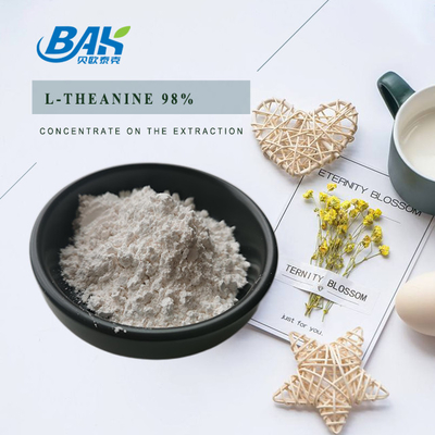 3081-61-6 выдержка Теанине 98% порошка выдержки зеленого чая естественная травяная для здорового питания
