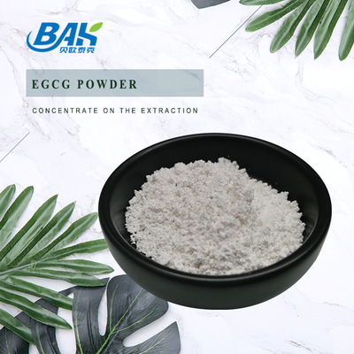 Экстракт зеленого чая EGCG CAS NO 989-51-5 Эпигаллокатехин галат 98% белый порошок