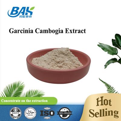 выдержка Cambogia Garcinia 50% 60% с белого порошка Cas 90045-23-1