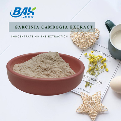 выдержка Cambogia Garcinia 50% 60% с белого порошка Cas 90045-23-1