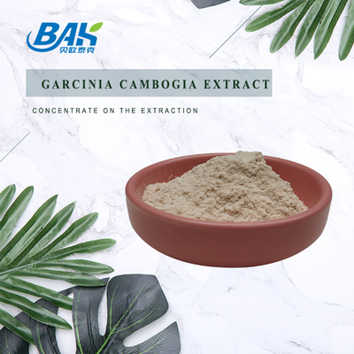 выдержка Cambogia Garcinia 50% 60% с белого порошка Cas 90045-23-1