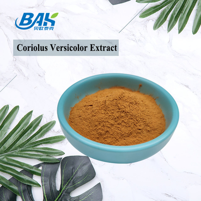 10%-50% дополнения выдержки гриба Coriolous порошок Брауна Versicolor желтый