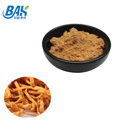 Дополнение предохранения от печени выдержки Cordyceps Militaris порошок 1% до 6% Cordycepin