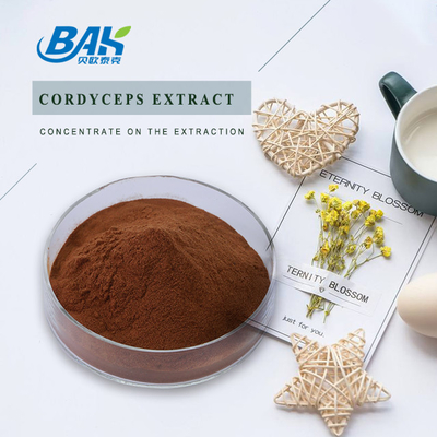 Cordycepin 5% 10% 20% Mens Health Supplement Cordyceps Extract Brown Powder