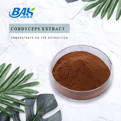 Cordycepin 5% 10% 20% Mens Health Supplement Cordyceps Extract Brown Powder