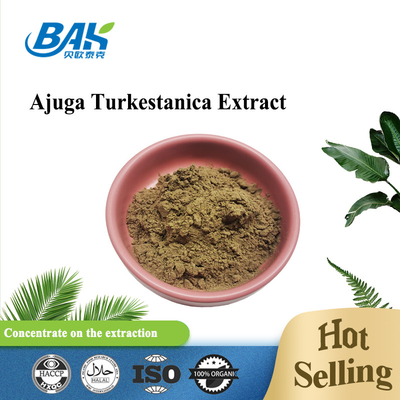 Выдержка 2%-20% Turkestanica Ajuga