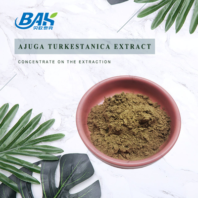 Выдержка 2%-20% Turkestanica Ajuga