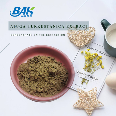 Выдержка 2%-20% Turkestanica Ajuga