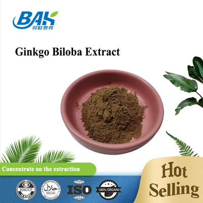Гинкго Biloba извлекает Cas 90045-36-6