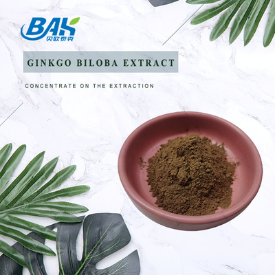 Гинкго Biloba извлекает Cas 90045-36-6