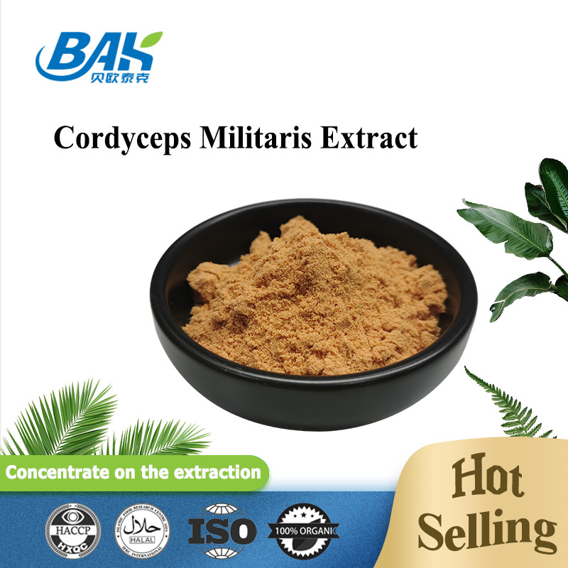 Дополнение предохранения от печени выдержки Cordyceps Militaris порошок 1% до 6% Cordycepin