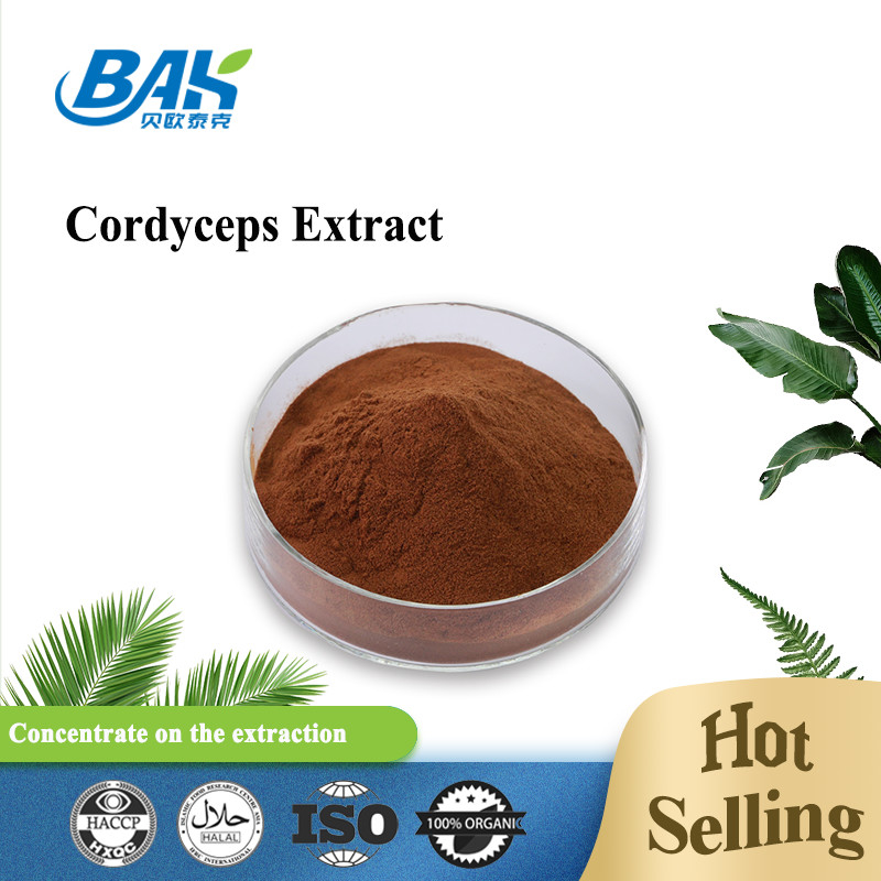 Cordycepin 5% 10% 20% Mens Health Supplement Cordyceps Extract Brown Powder